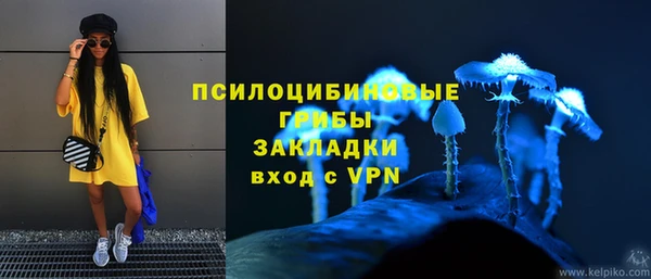 тгк Беломорск