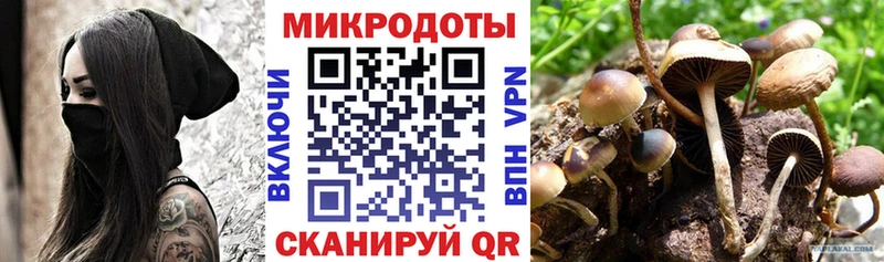купить цена Вуктыл Псилоцибиновые грибы мухоморы